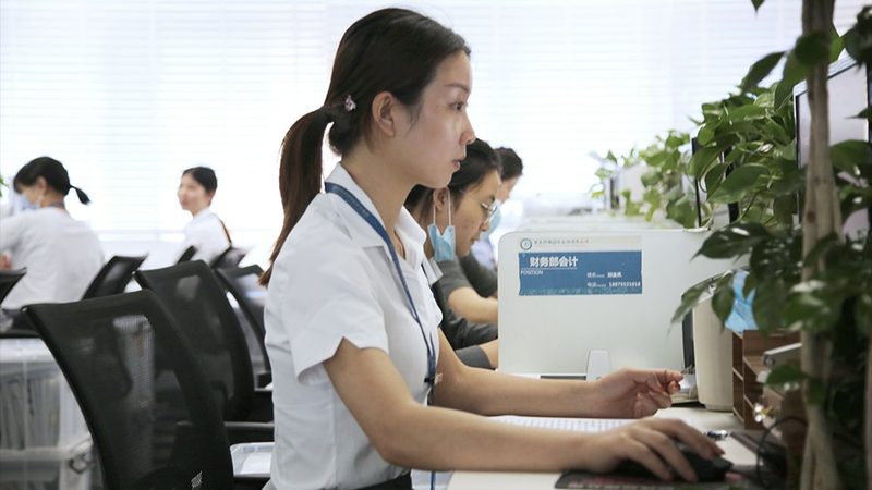 发明专利与实用新型专利审查周期解析：差异与影响